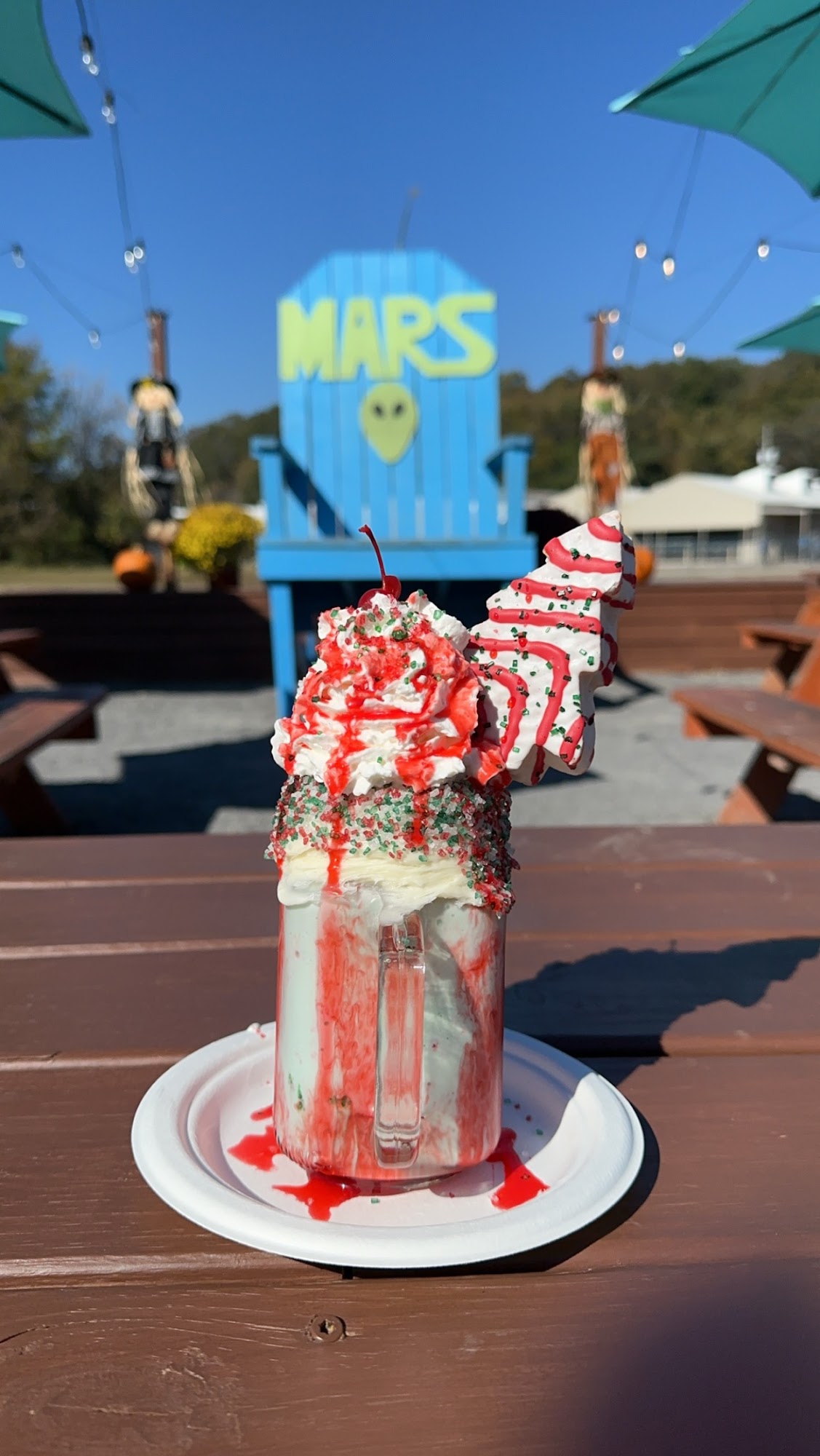 Mars Shaved Ice- Gadsden, AL