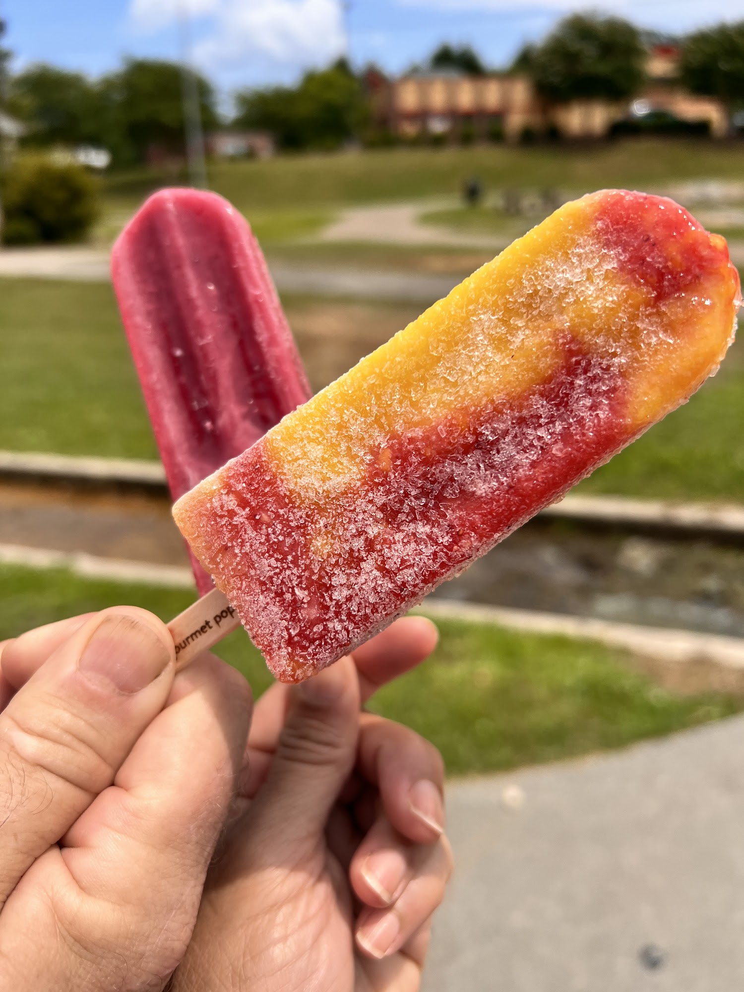 Frios Gourmet Pops