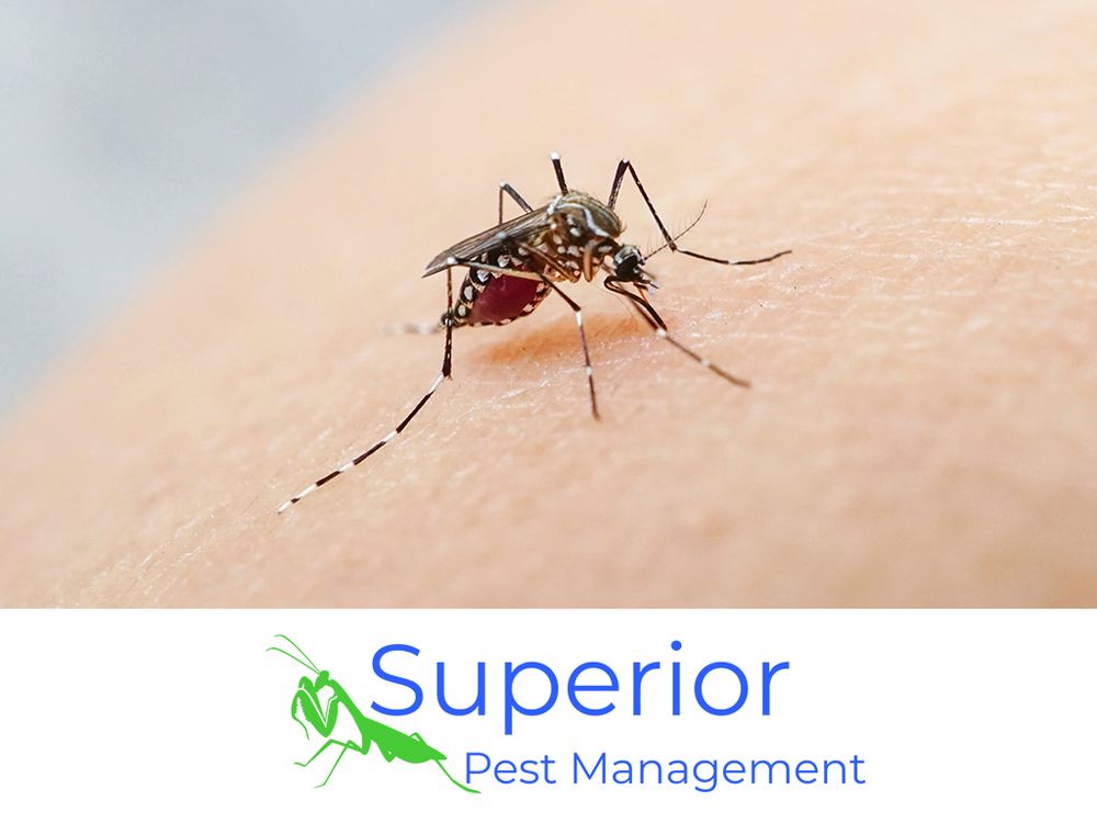 Superior Pest Management 662 Co Rd 569, Hanceville Alabama 35077