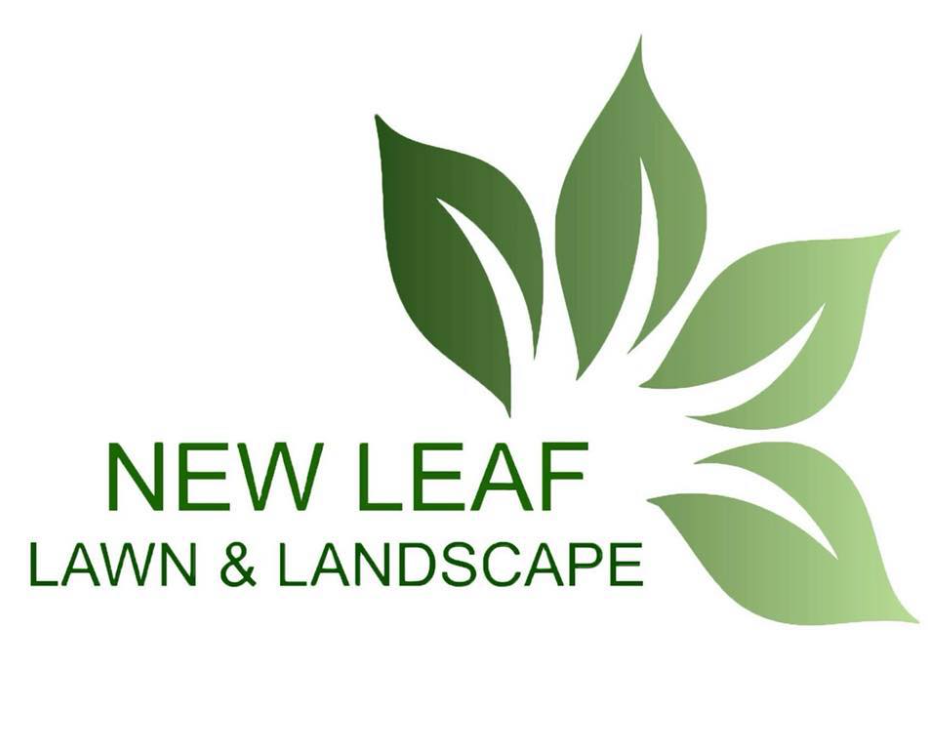 New Leaf LLC 72 Giles St, Heflin Alabama 36264