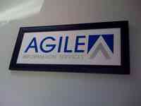 Agile Information Services