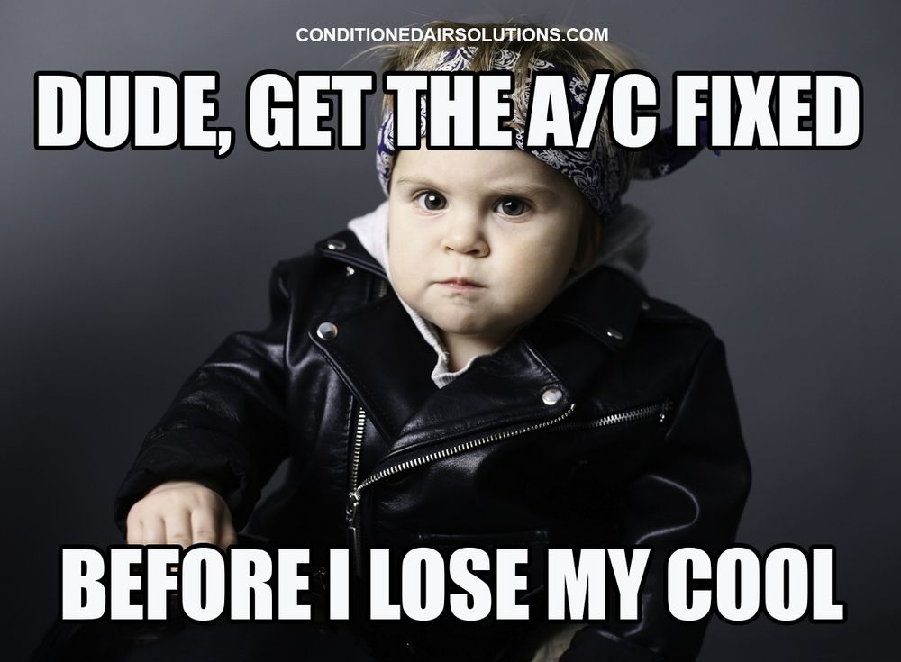 Photo credit: 