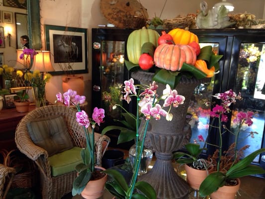 Mountain Brook Flower Shop Inc 2407 Montevallo Rd, Mountain Brook Alabama 35223