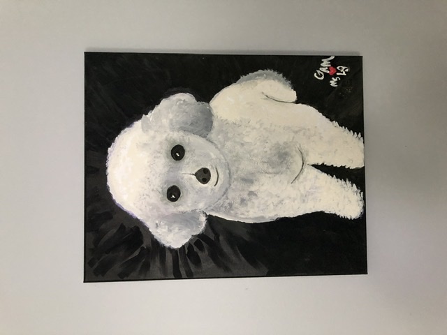 Dog N Sudz West Memphis