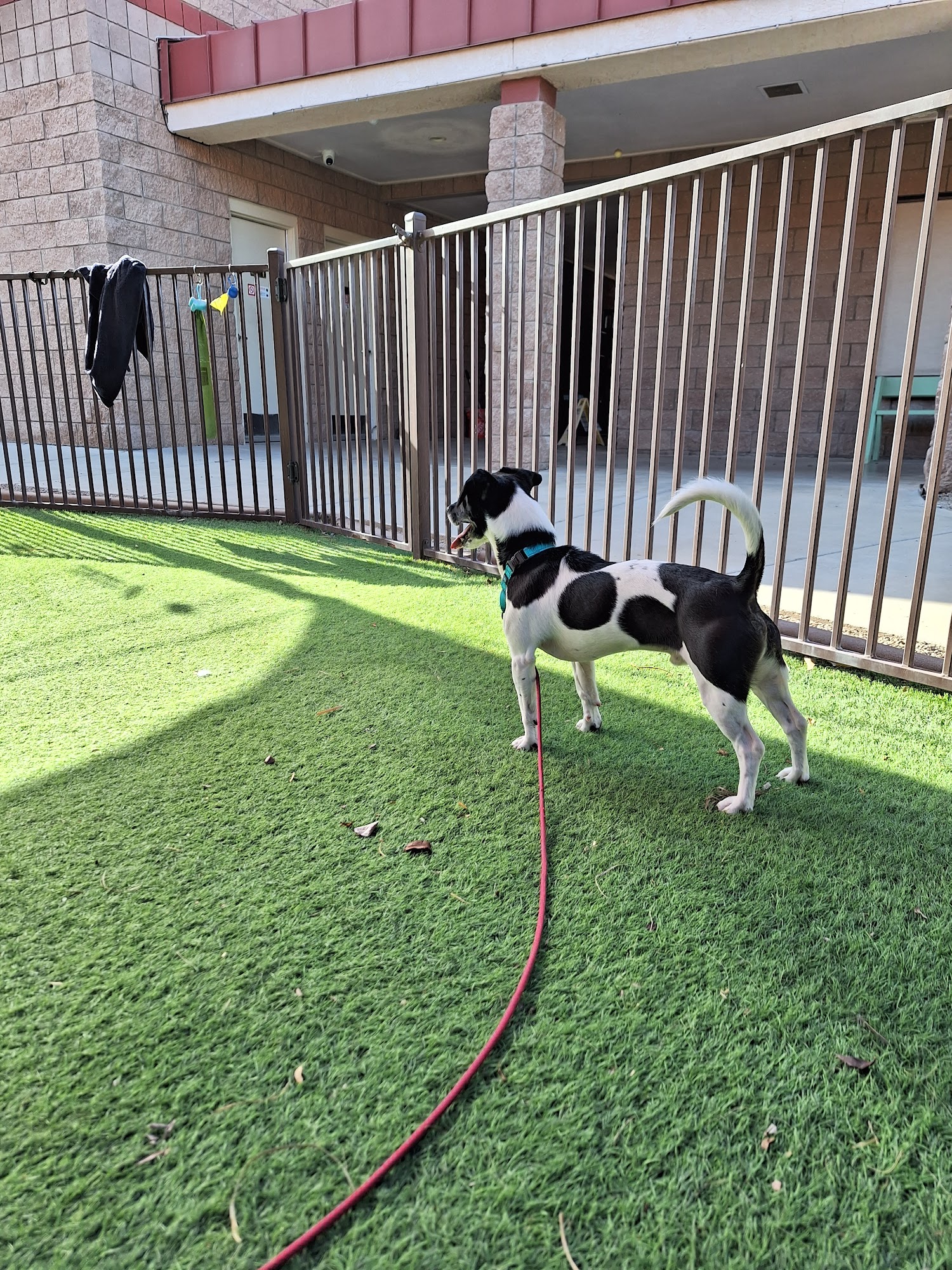 Sun Valley Animal Shelter Glendale