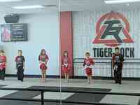 Tiger Rock Martial Arts of Glendale
