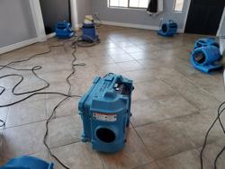 AZBrite Carpet Care & Restoration