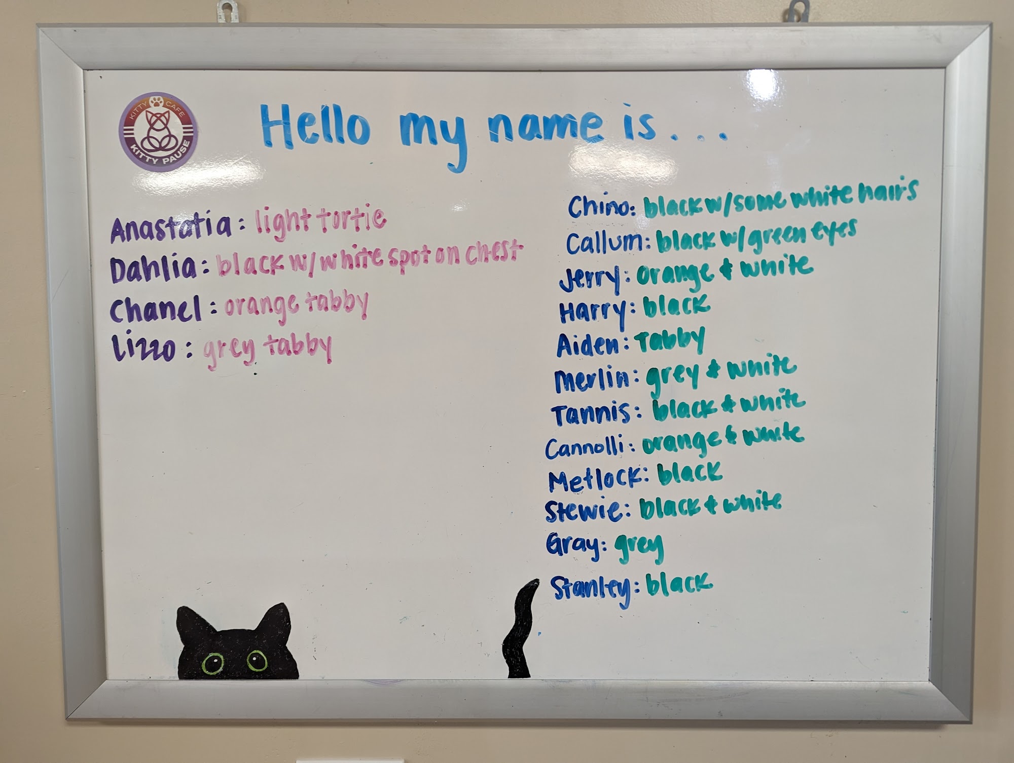 Kitty Pause Kitty Café Menu
