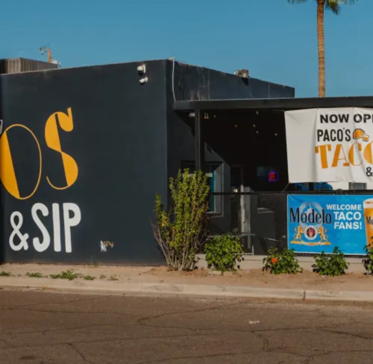 Paco's Tacos & Sip