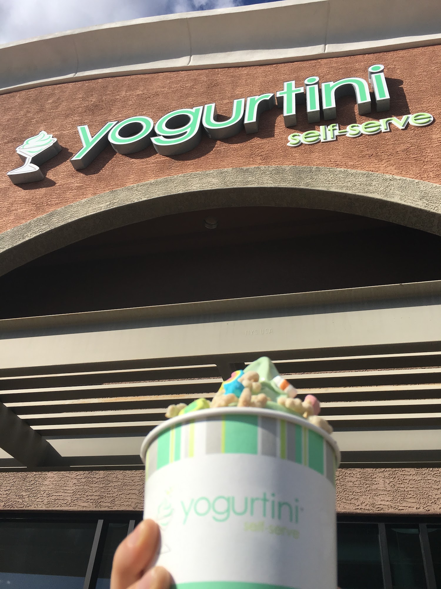 Yogurtini