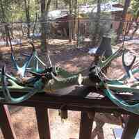 CANYON CREATIONS HEALING ARTS