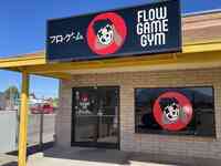 Flow Game Gym