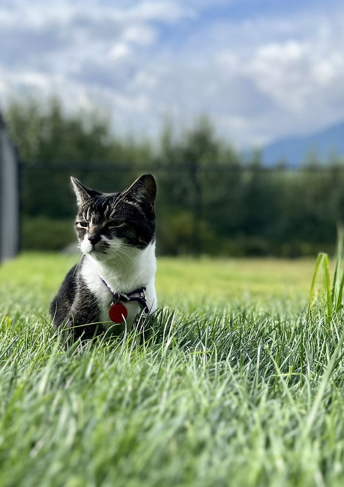 Photo credit: 