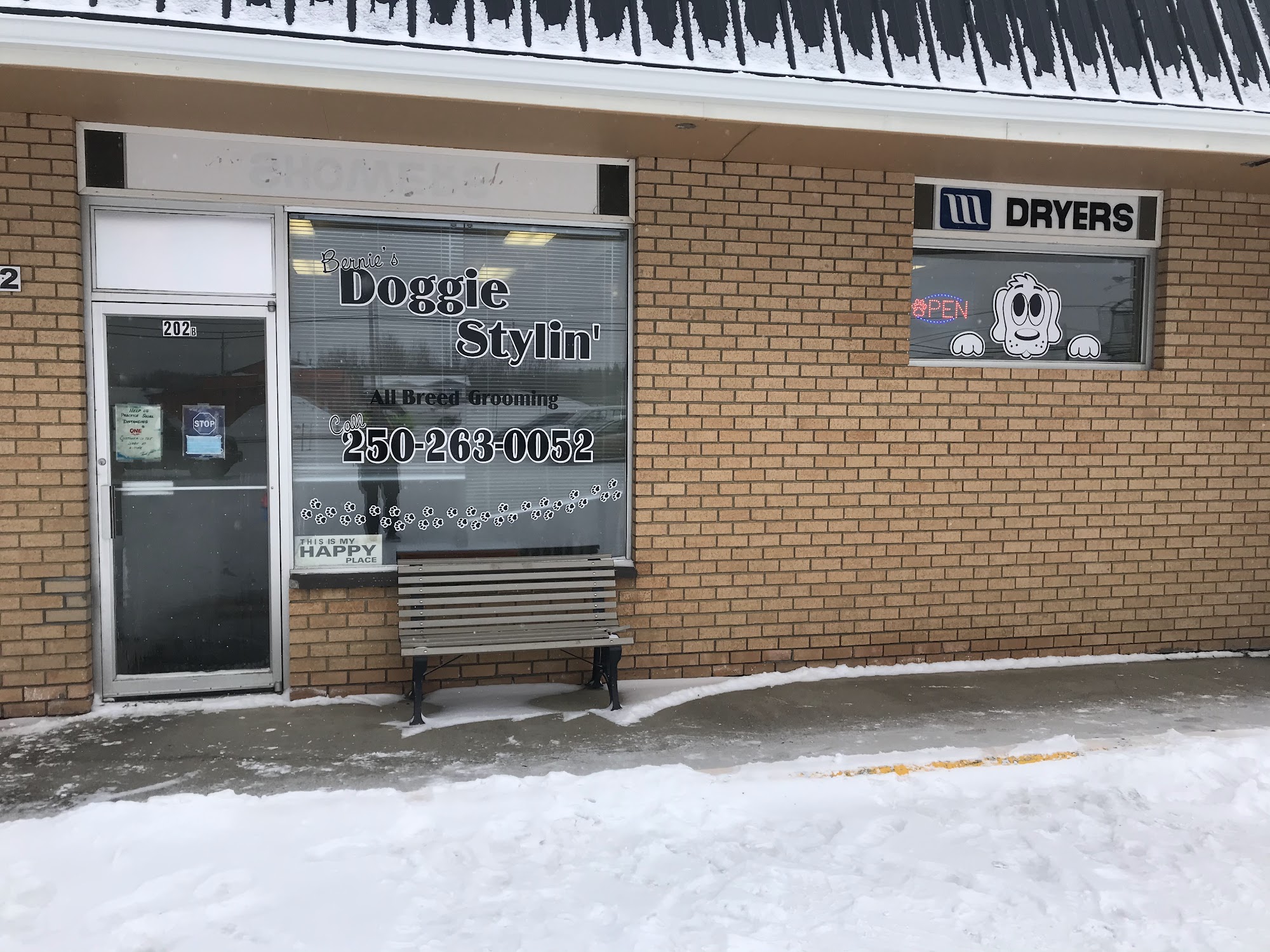 Bernie's Doggie Stylin