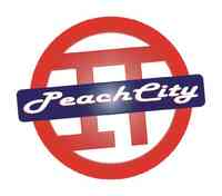 Peach City IT Services Inc.