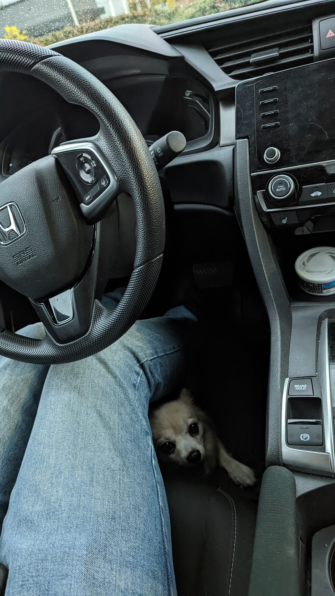 Guildford Pet Foods & Supplies Surrey