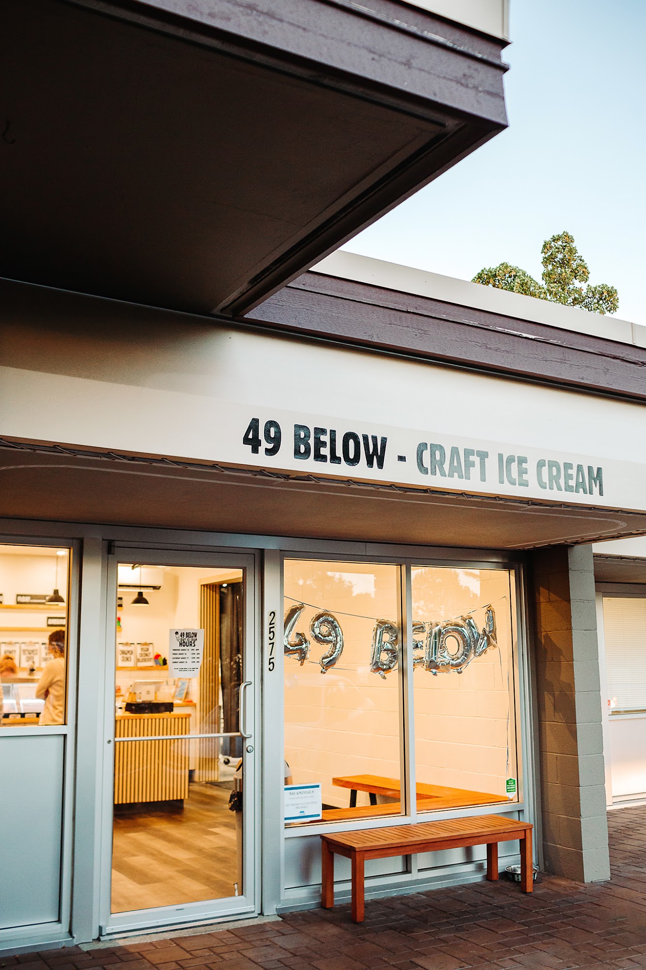 49 Below Ice Cream