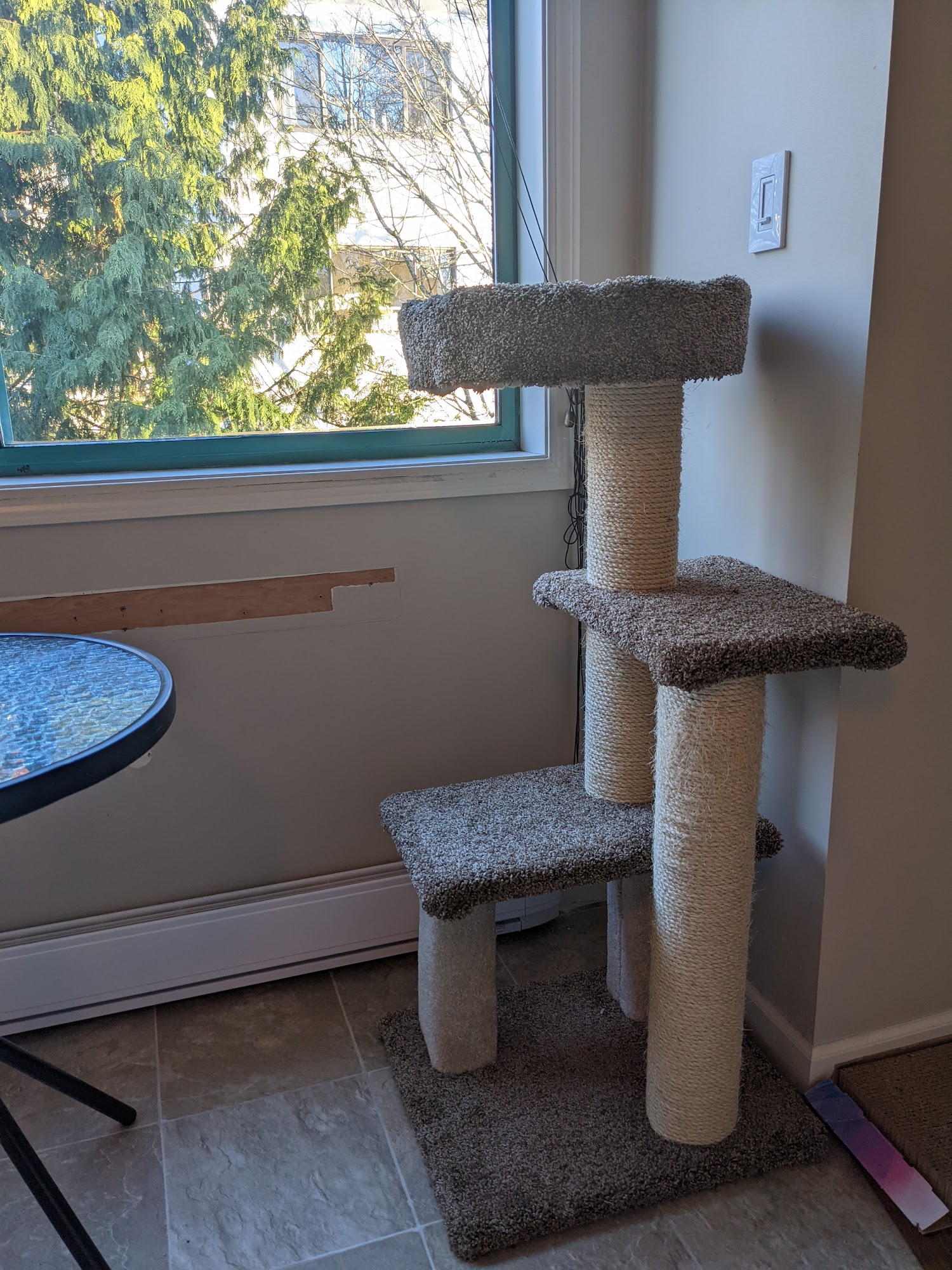 Clayton Critters Victoria