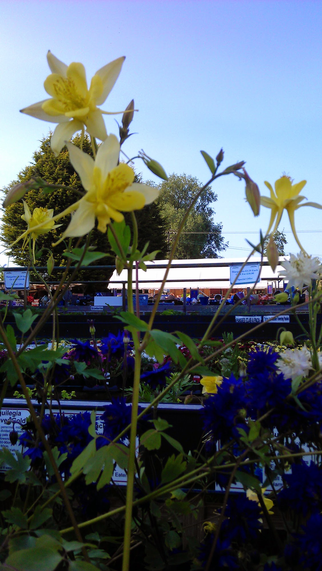 Watering Can Langford, Biggleswade