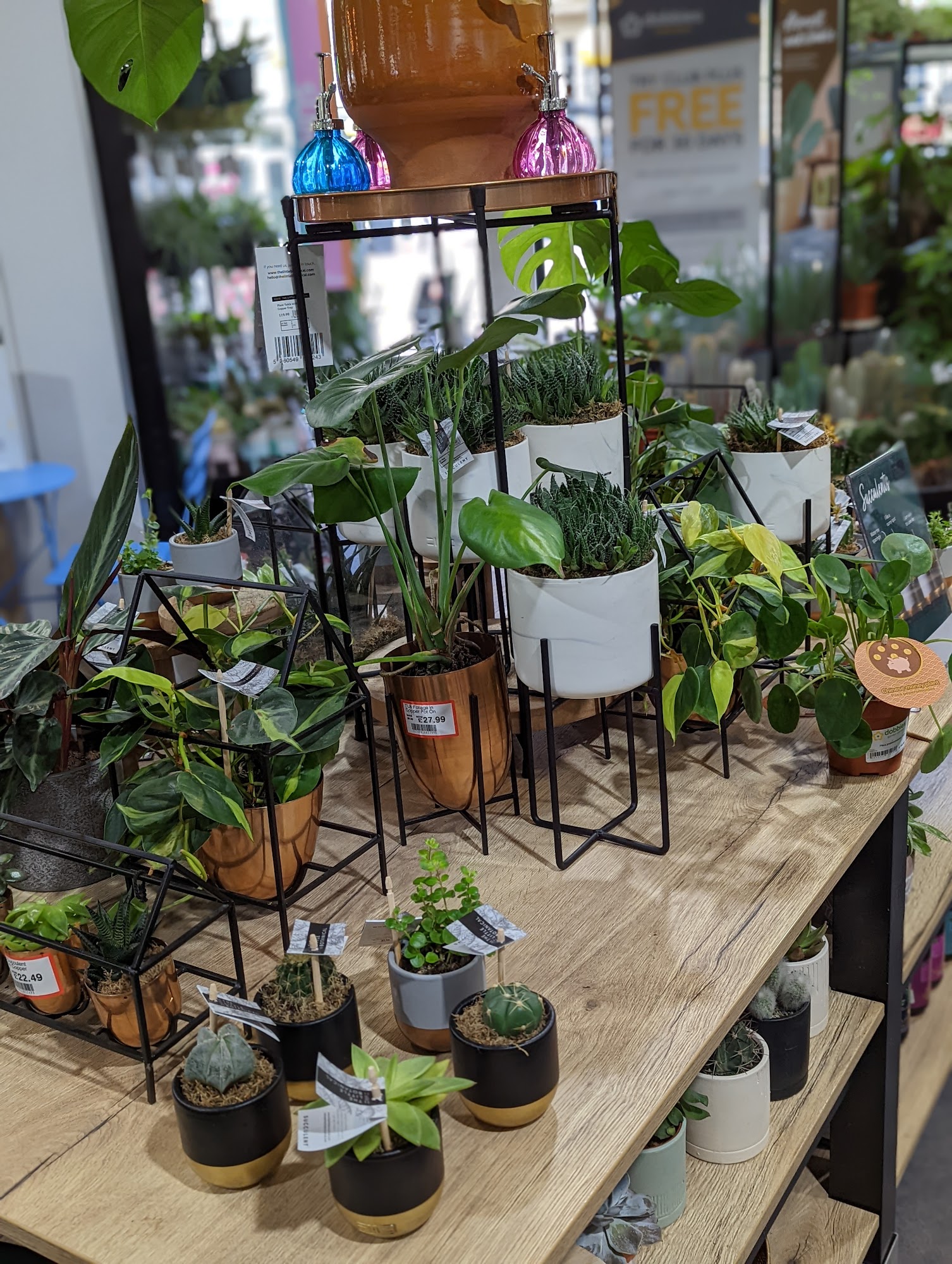 Little Dobbies Clifton