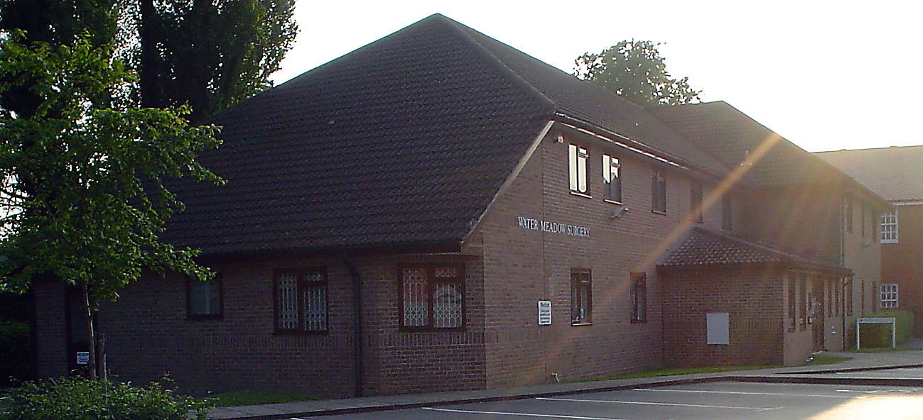 Water Meadow Surgery