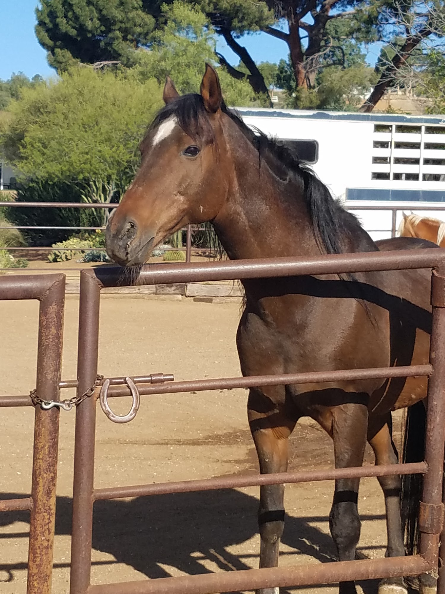 Sweetwater Kennels 32945 Canyon Quail Trail, Agua Dulce California 91390