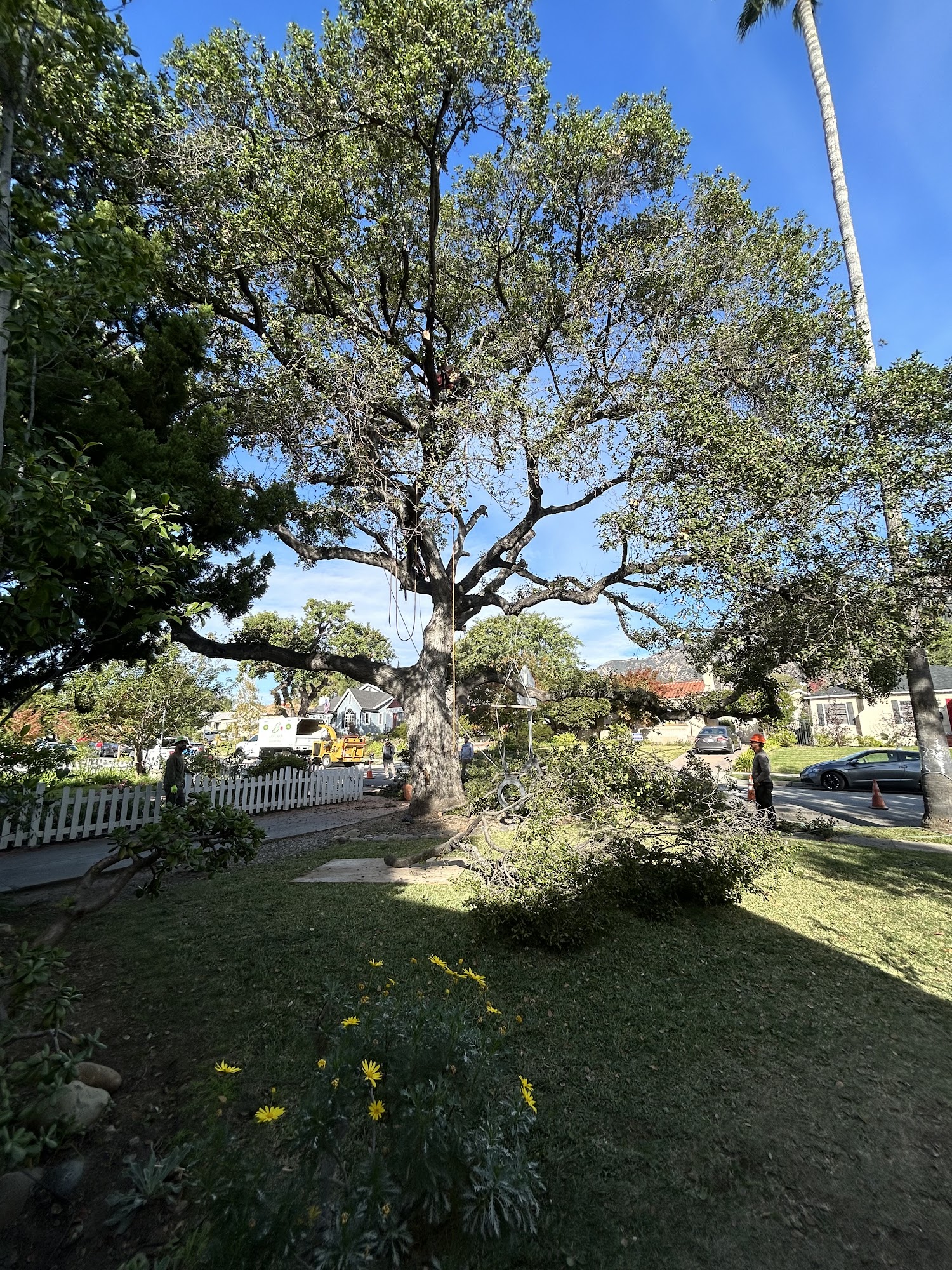 Santiago's Landscape & Tree Services 2233 N Casitas Ave, Altadena California 91001