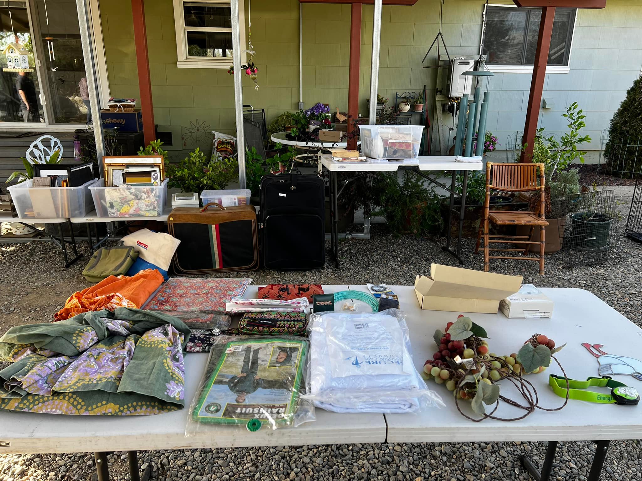 Shasta Dog Camp Anderson