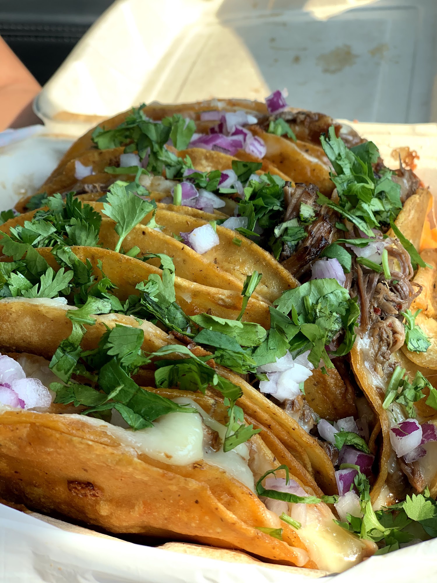 Los Originales Tacos de Birria