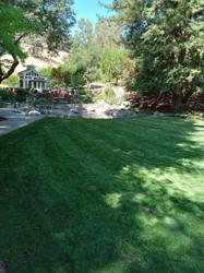 Power Green Lawns - Lawn Aerating Service