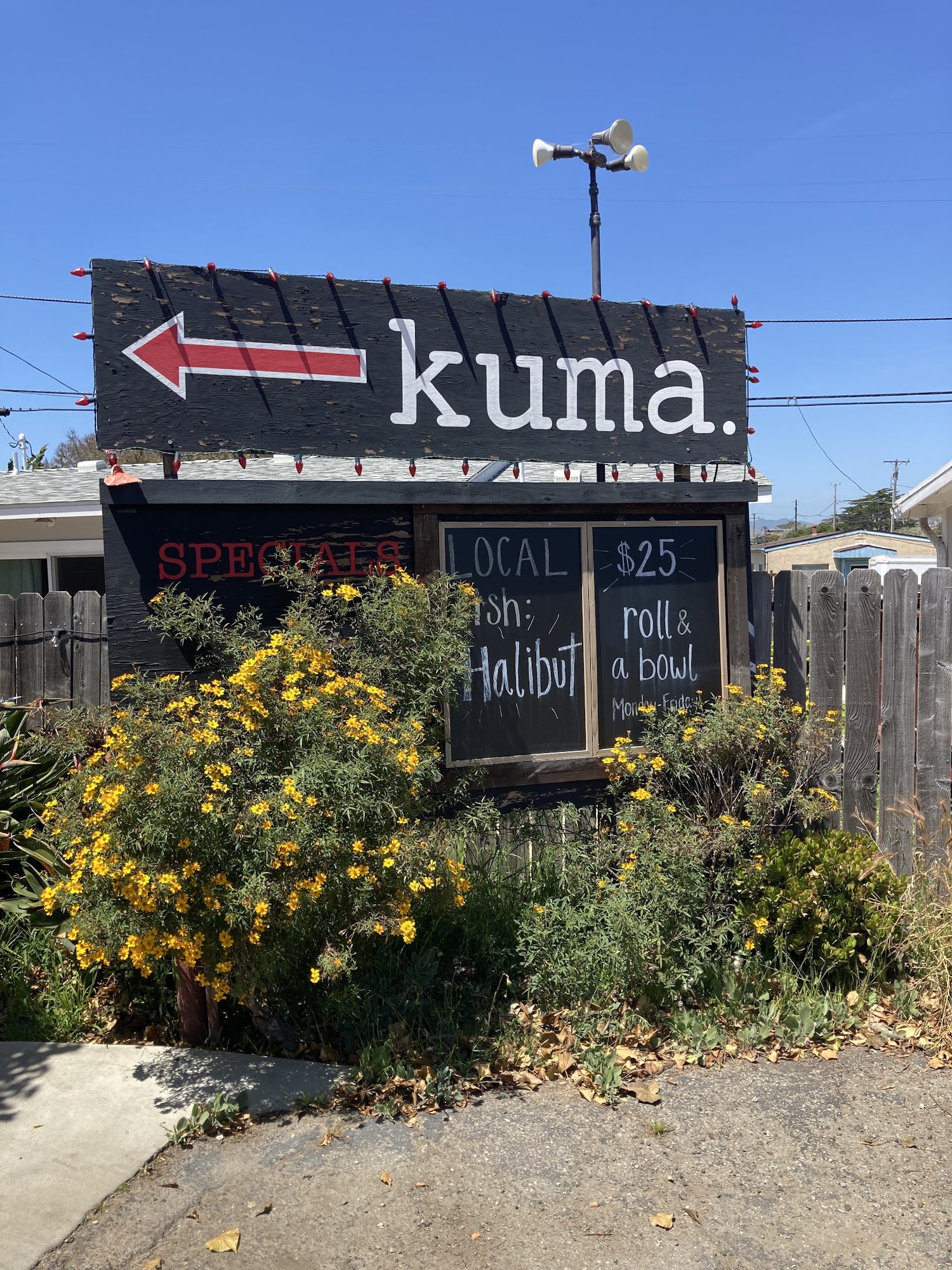 Kuma.