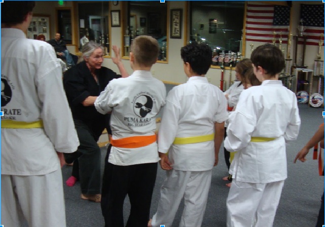 Puma Karate 42565 Moonridge Rd, Big Bear Lake California 92315