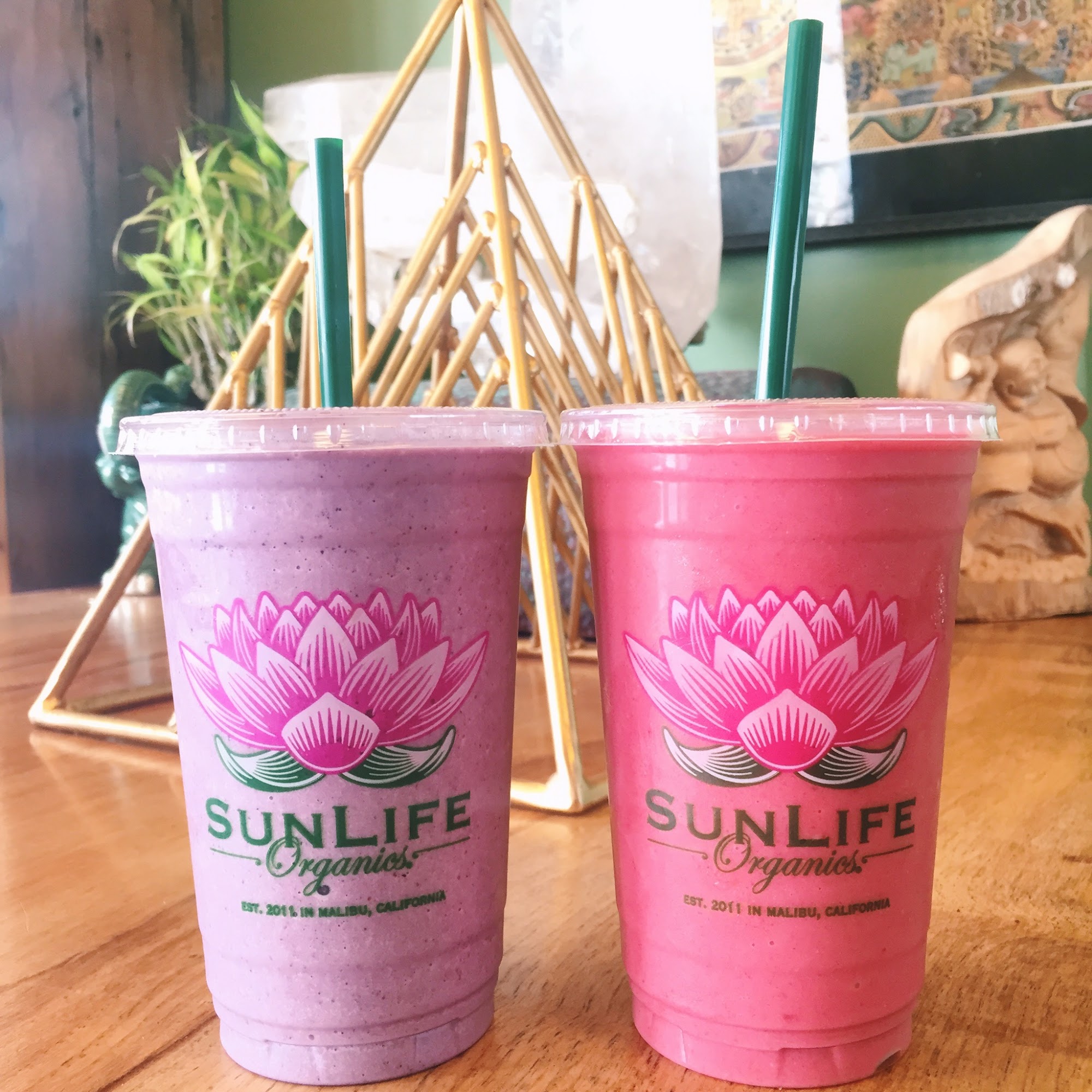 SunLife Organics