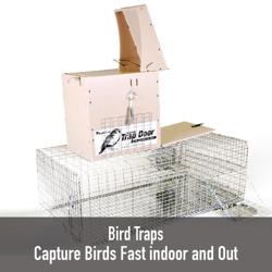 Bird Barrier America Inc