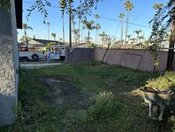 California Custom Landscape