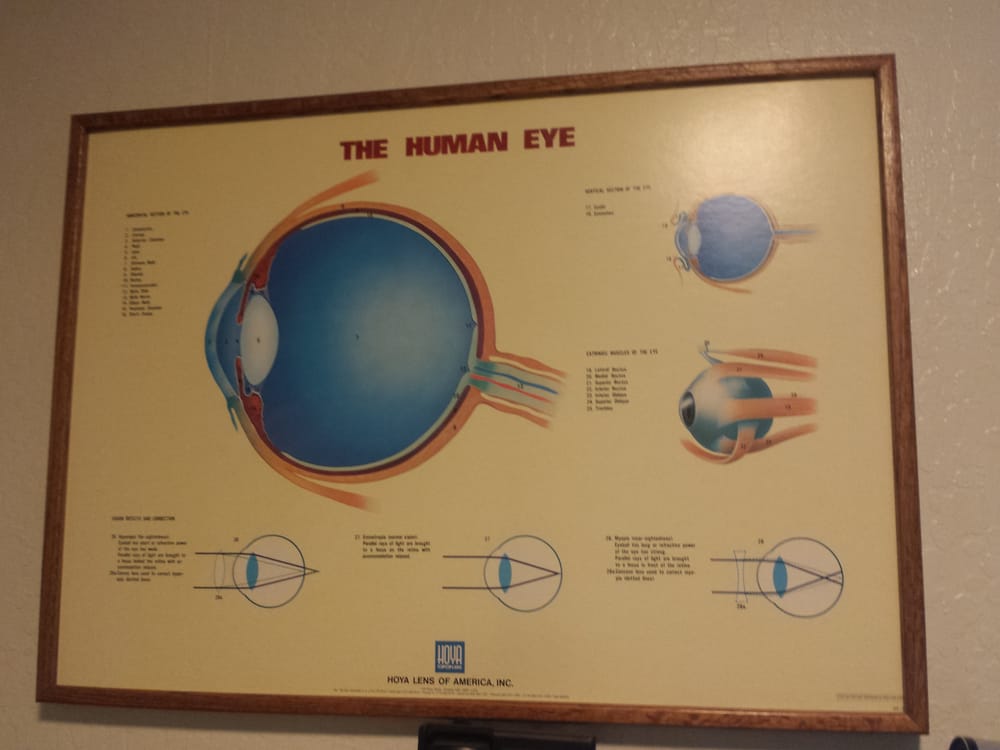 Michael G. Harmon, OD
