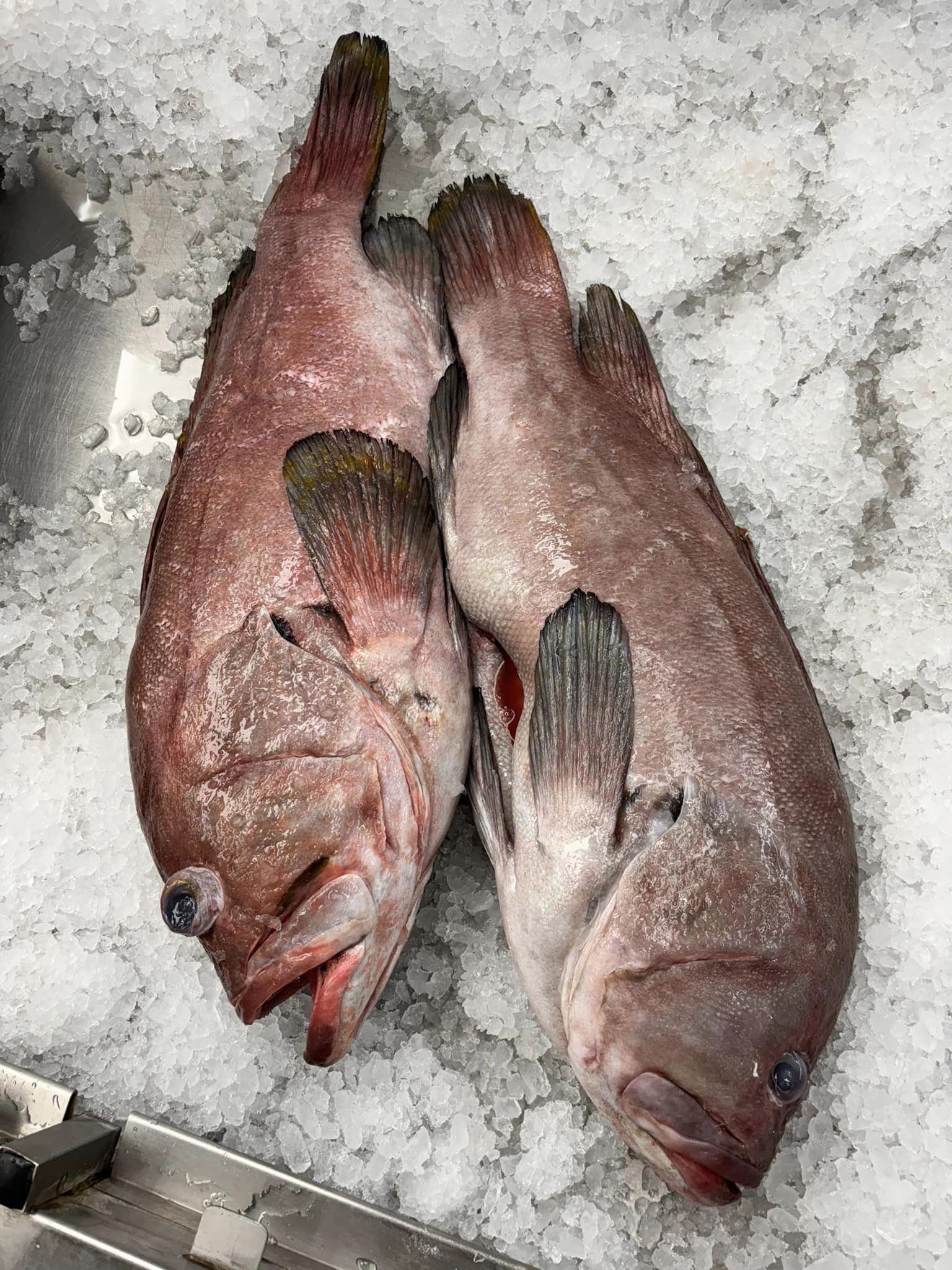 Pescaderia Ensenada