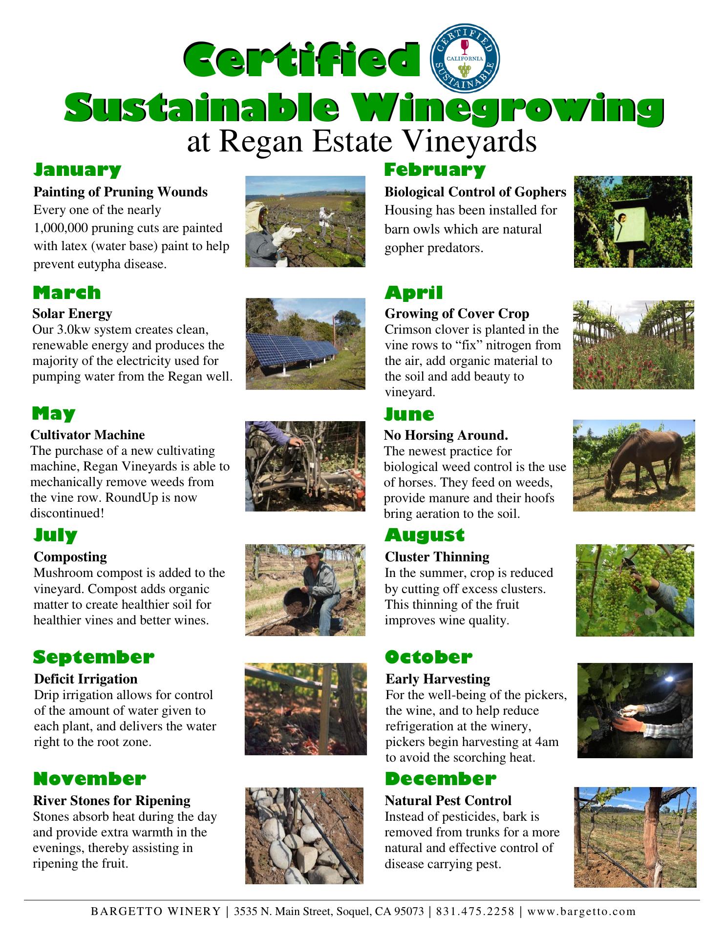 Regan Vineyards Winery Menu