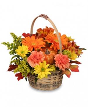 Exeter Flower Company 199 E Pine St, Exeter California 93221