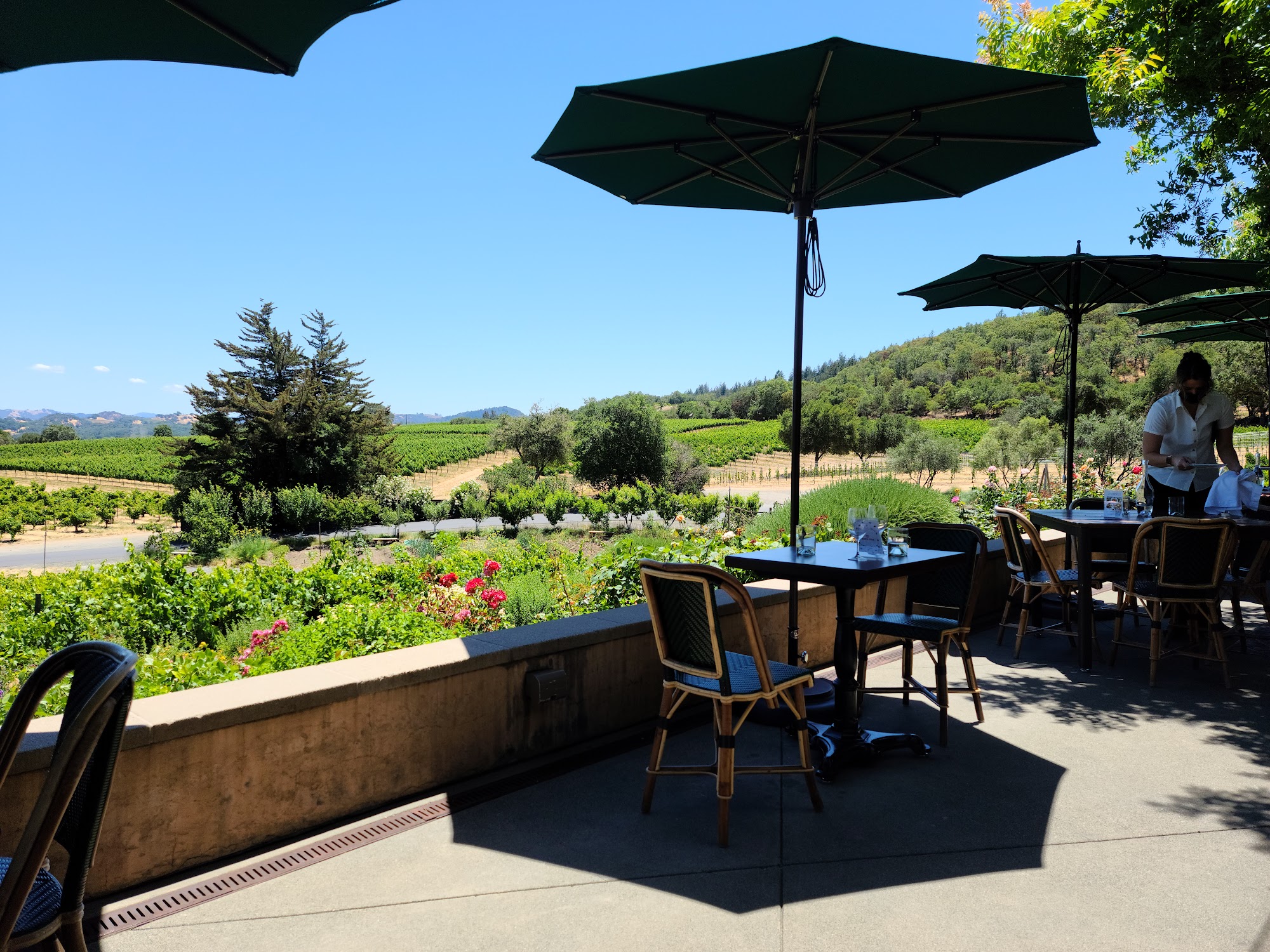 Rustic at Francis Ford Coppola Winery