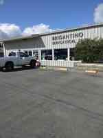Brigantino Irrigation Inc