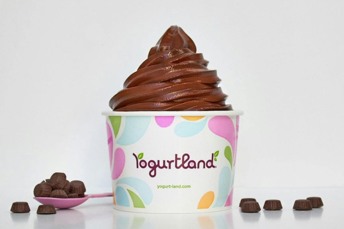 Yogurtland The Market Place