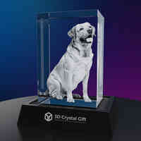 3D Crystal Gift - Personalized 3D Crystal Photo Gifts, Memorials & Awards