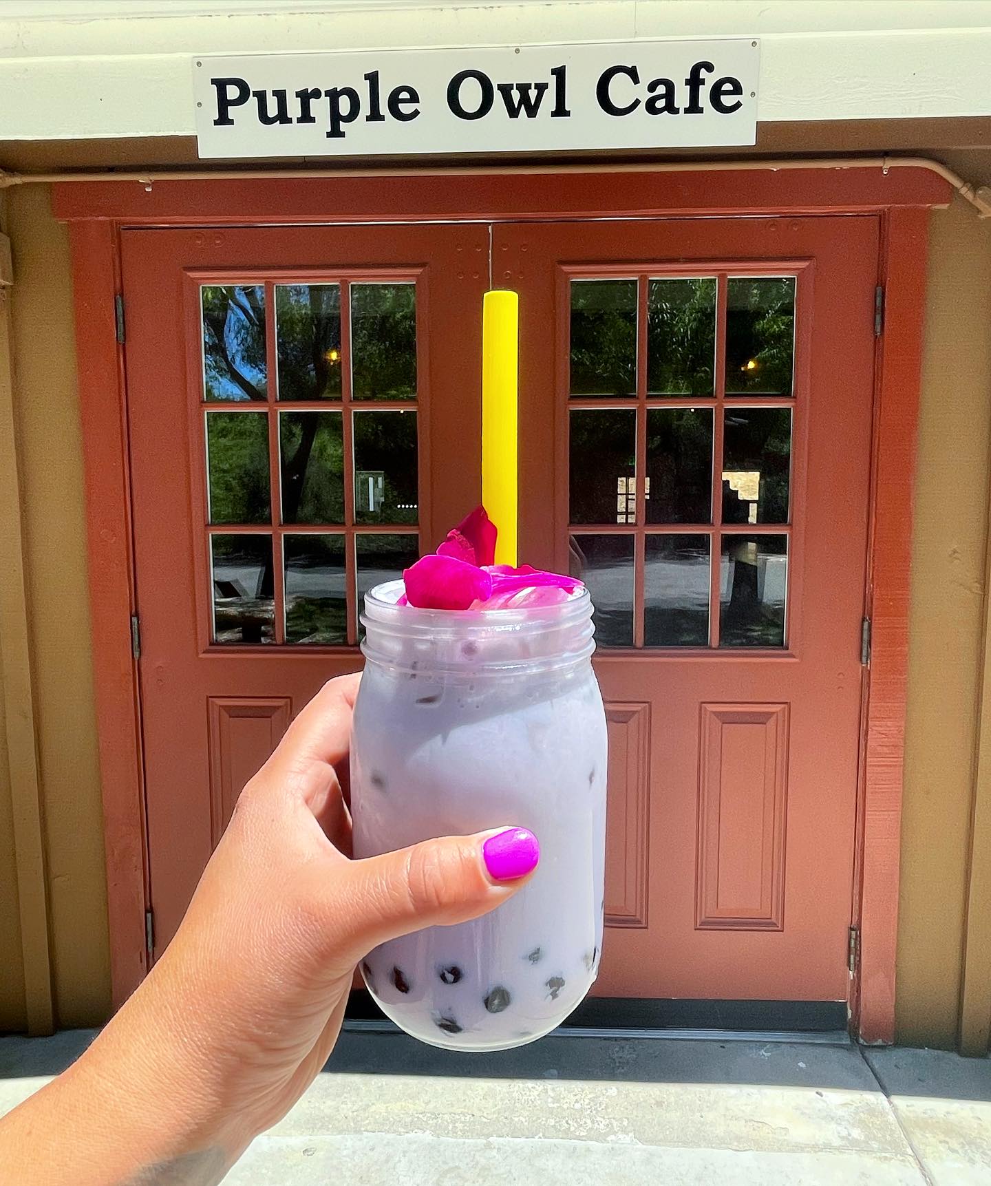 Purple Owl Cafe