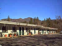 Neu Lodge Motel