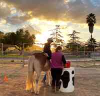 Partners Therapeutic Horsemanship