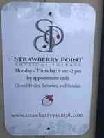 Strawberry Point Physical Therapy