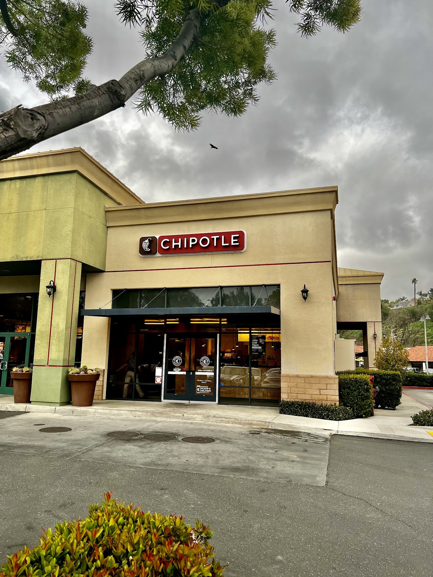 Chipotle Mexican Grill