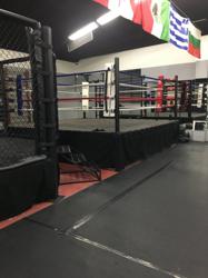 Hayastan MMA Academy