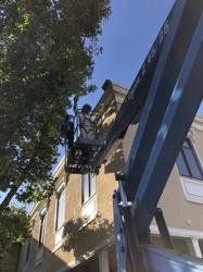 First Quality Pest Control